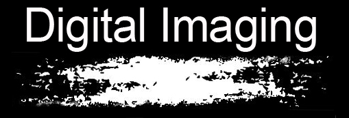 Images